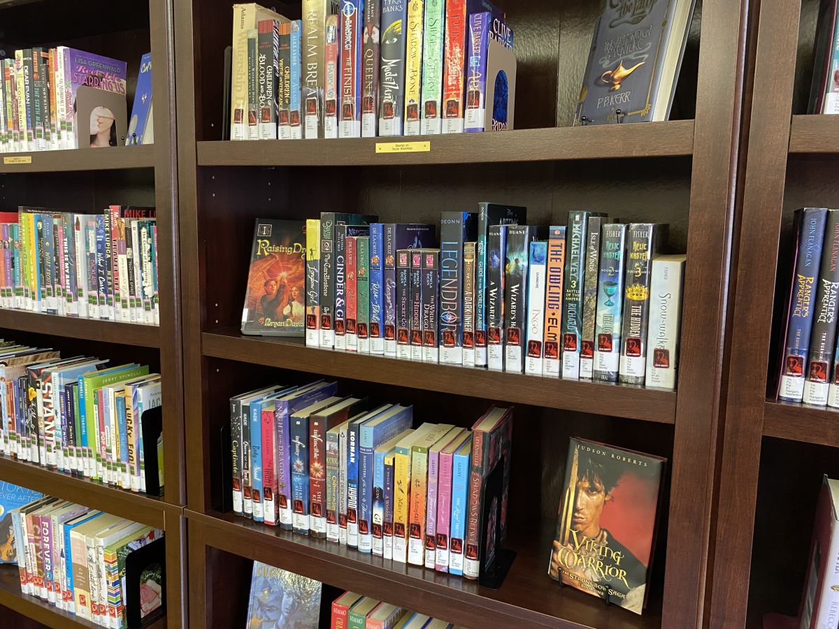 bookshelf with books